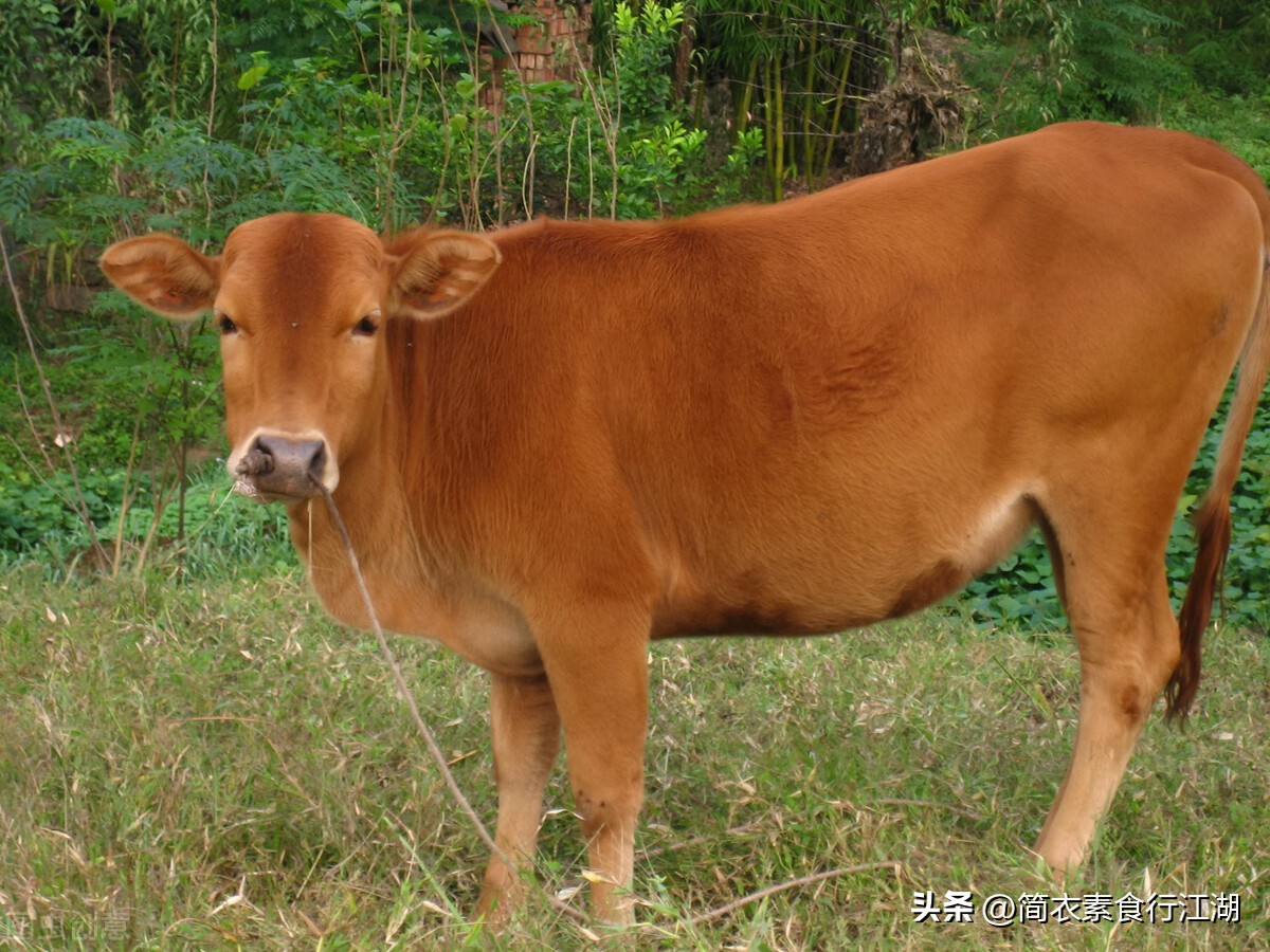 她做保姆这些年之豪门生活完整版,她做保姆这些年之豪门生活全集