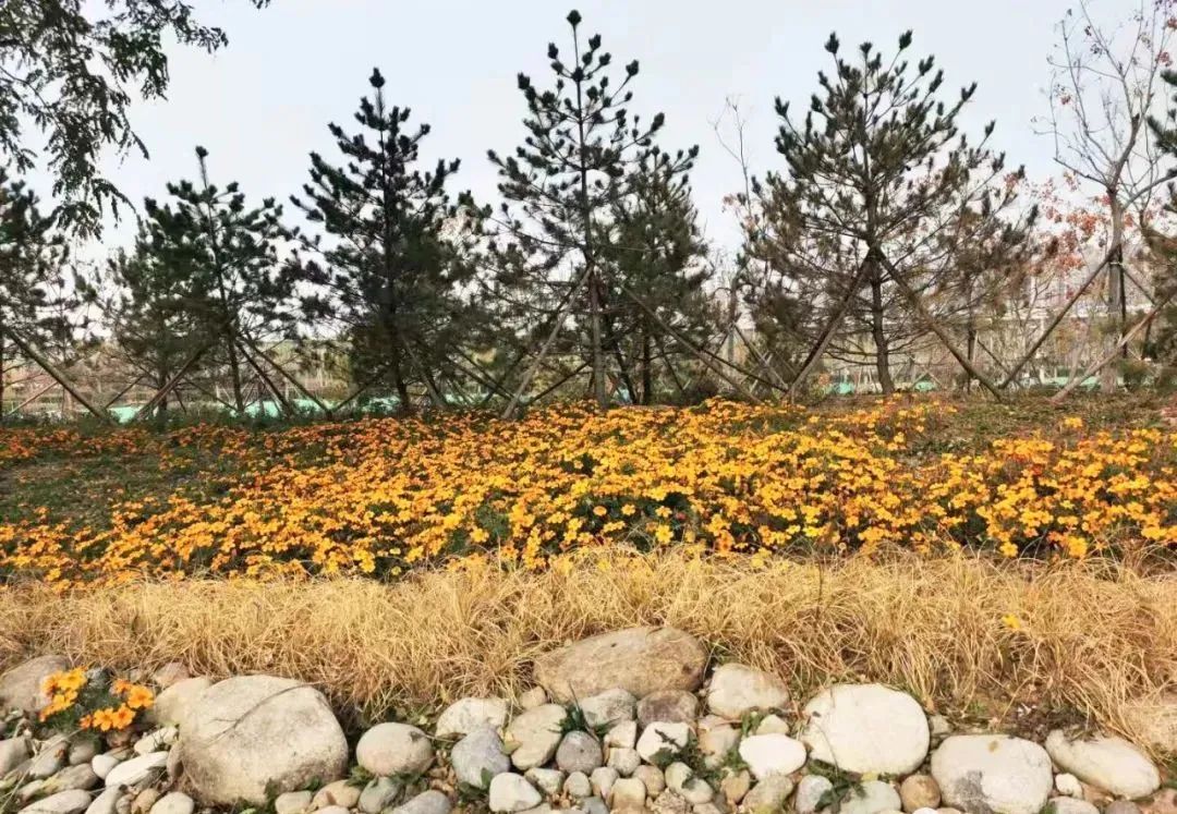 石景山区回迁安置房多少钱,石景山白庙村安置房