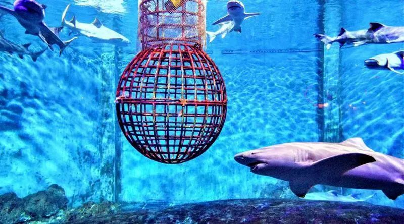 国庆来大连玩,国庆去哪里玩大连