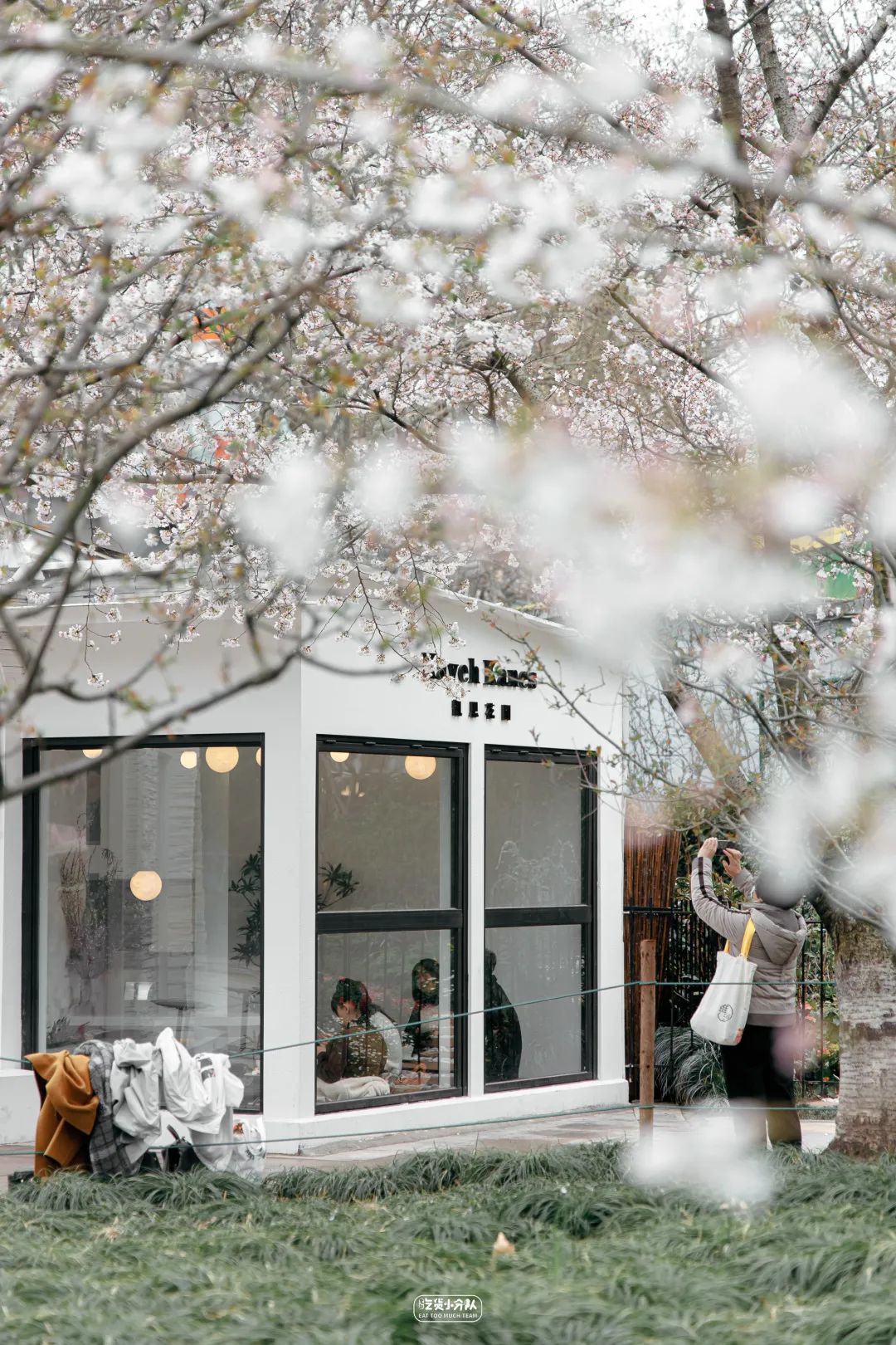 樱花最旺盛的时间,樱花最茂盛的时候是哪个季节