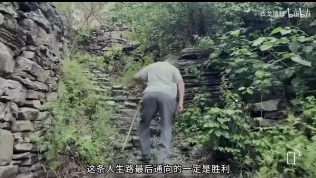 回村三天，‘二舅’靠什么治愈全网的精神内耗？