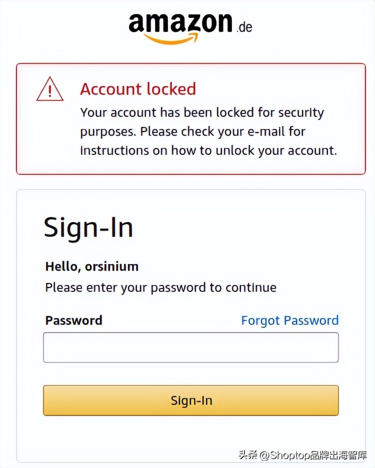 独立站与亚马逊的流量区别,独立站和亚马逊运营哪个有前景