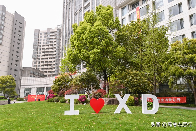 拿着985大学的分数，报考独立学院，都是校名惹的祸？