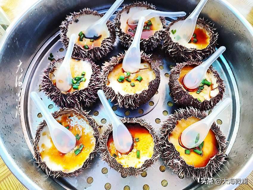 西沙群岛银屿岛吃海鲜,西沙群岛银屿岛吃海鲜多少钱