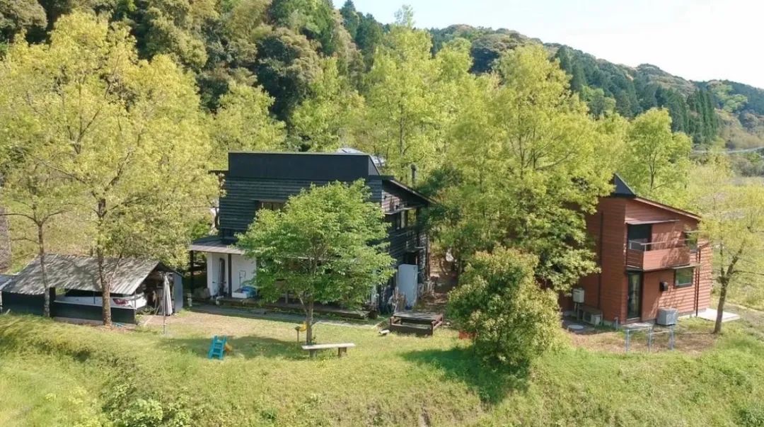 鏃ユ湰涓夎儙,鏃ユ湰涓夎儙瀹跺涵