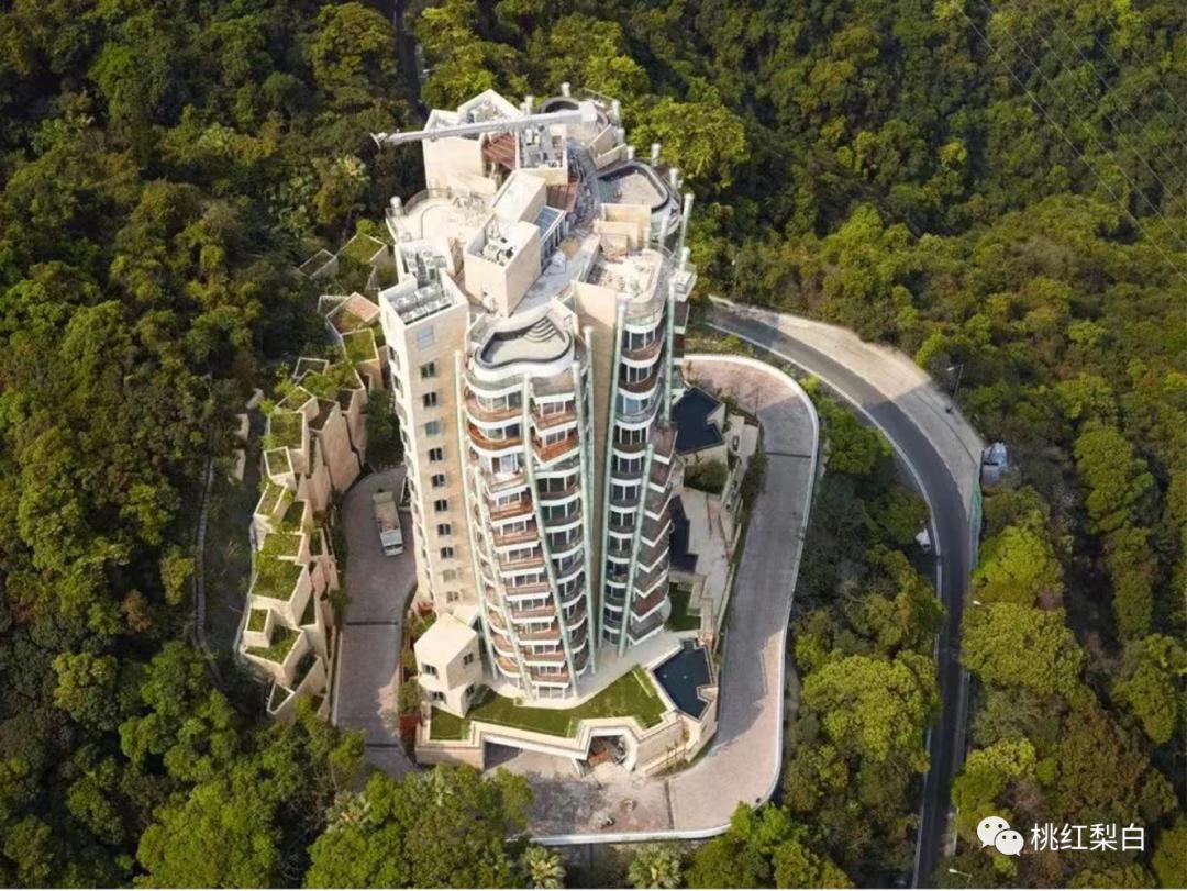 59岁关之琳豪宅内景曝光,香江第一美女关之琳年轻时颜值