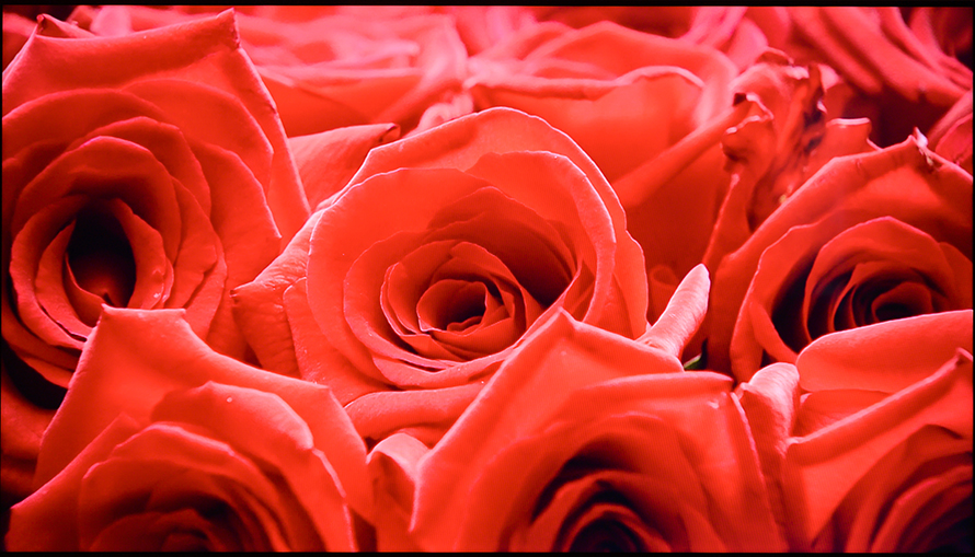 创维守护者65,创维守护者75寸