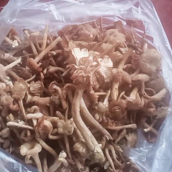 变声软件,变声期