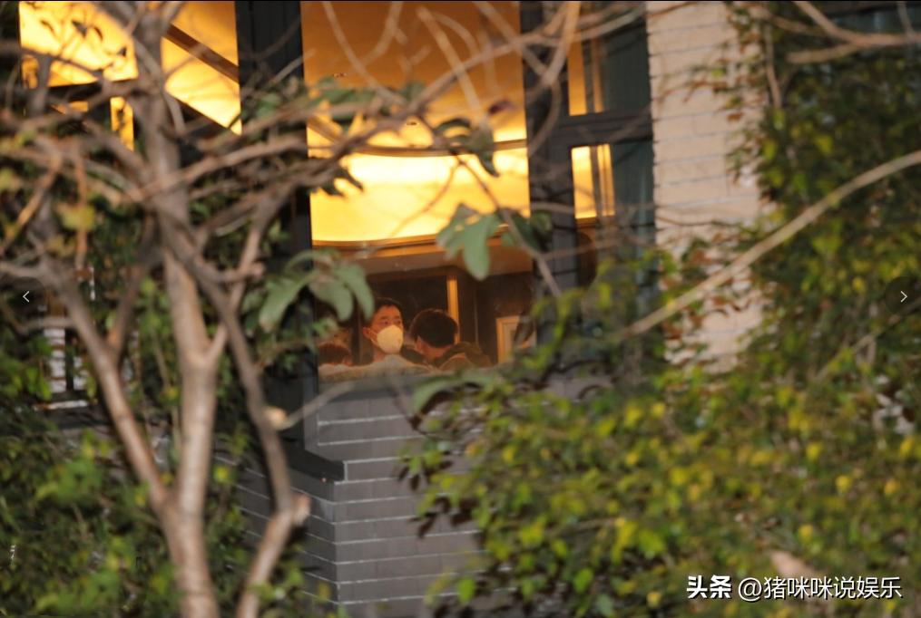 名媛碎尸案影响,名媛碎尸案凶手