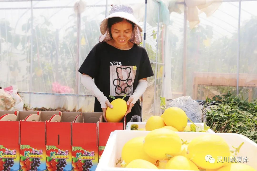 甜蜜产业促农增收,甜蜜产业致富模式