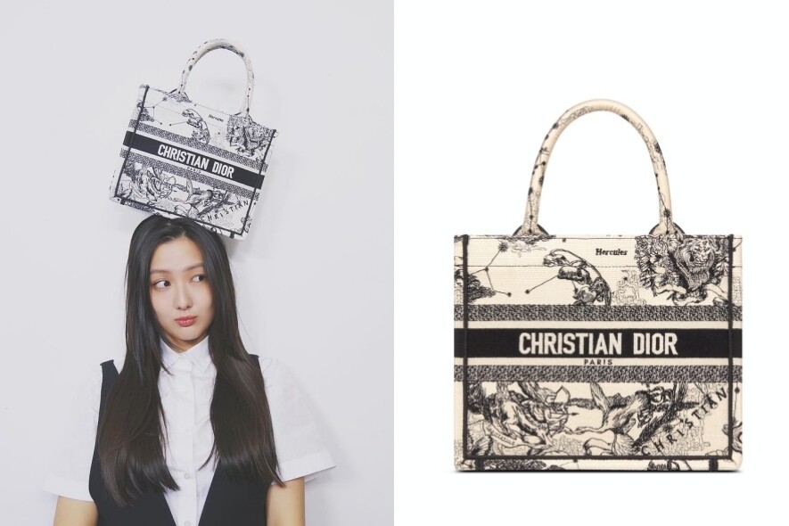 celine2023腋下包,2019chanel新款包包大合集