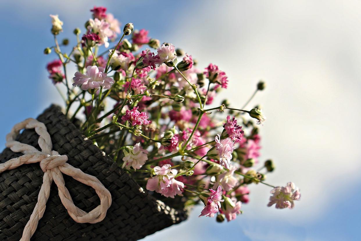 2022年摩羯座12月运势完整版,摩羯座十二月身体运势如何