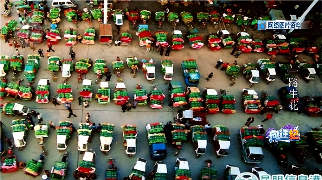 盘点人们都向往的工作,向往的工作和现实的工作