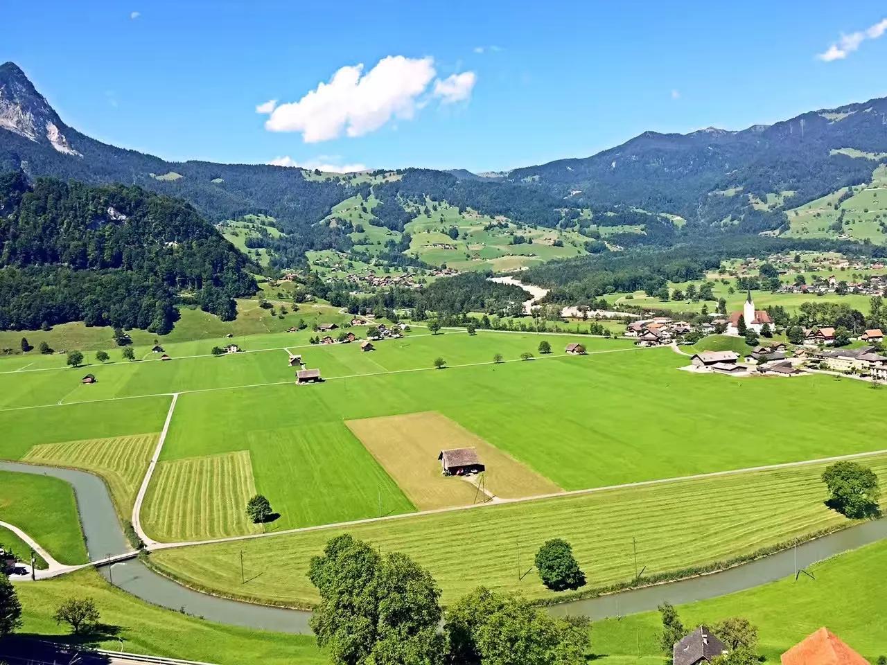 病毒肆虐全球,病毒肆虐全球高清