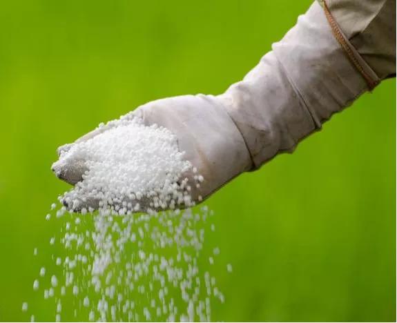 知耕快报｜作物基因组设计育种工具箱；Calyxt植物合成生物学方案