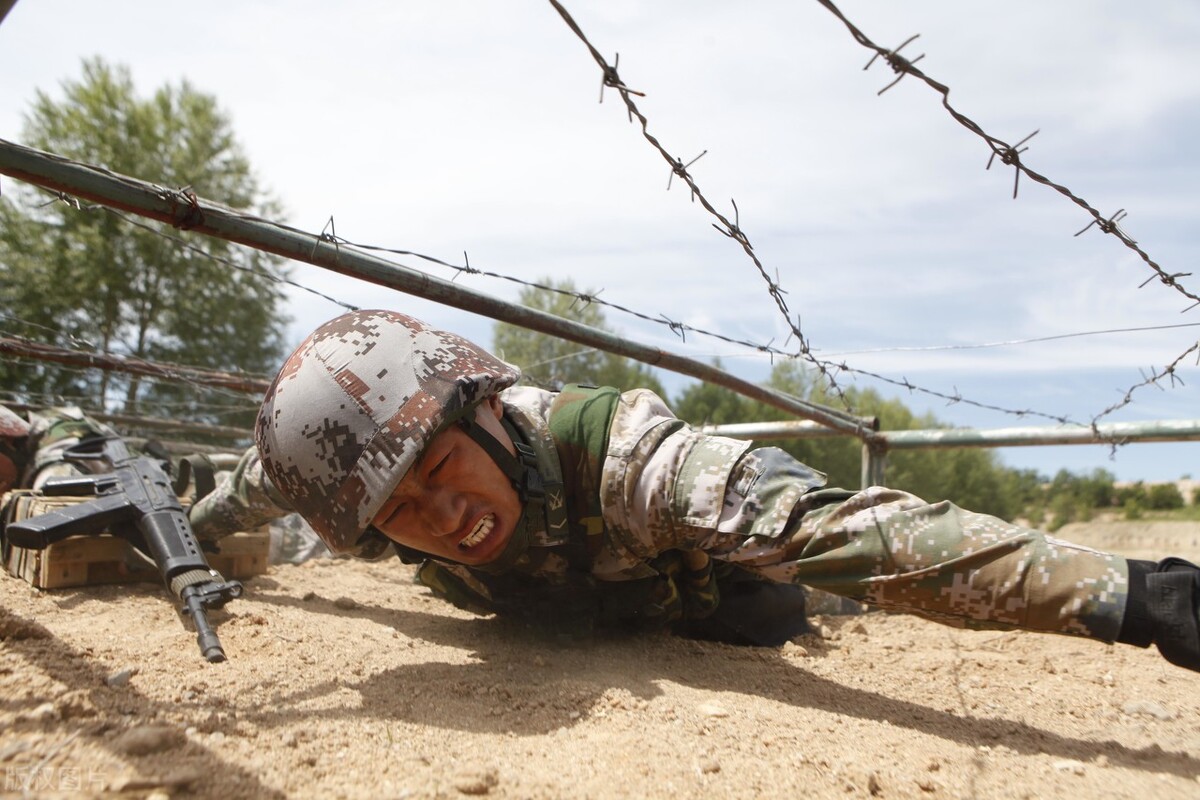 真正的中国国花是什么花,中国的国花是什么花官方认证
