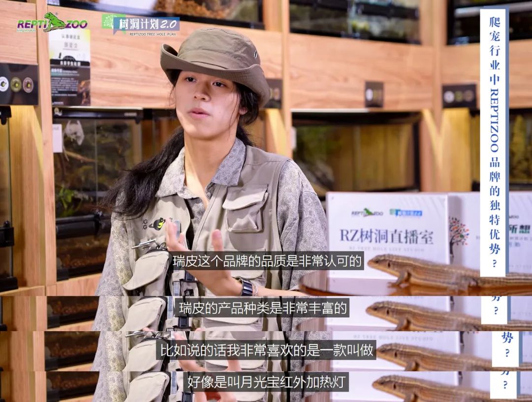 树洞第二个任务攻略,树洞第2个任务