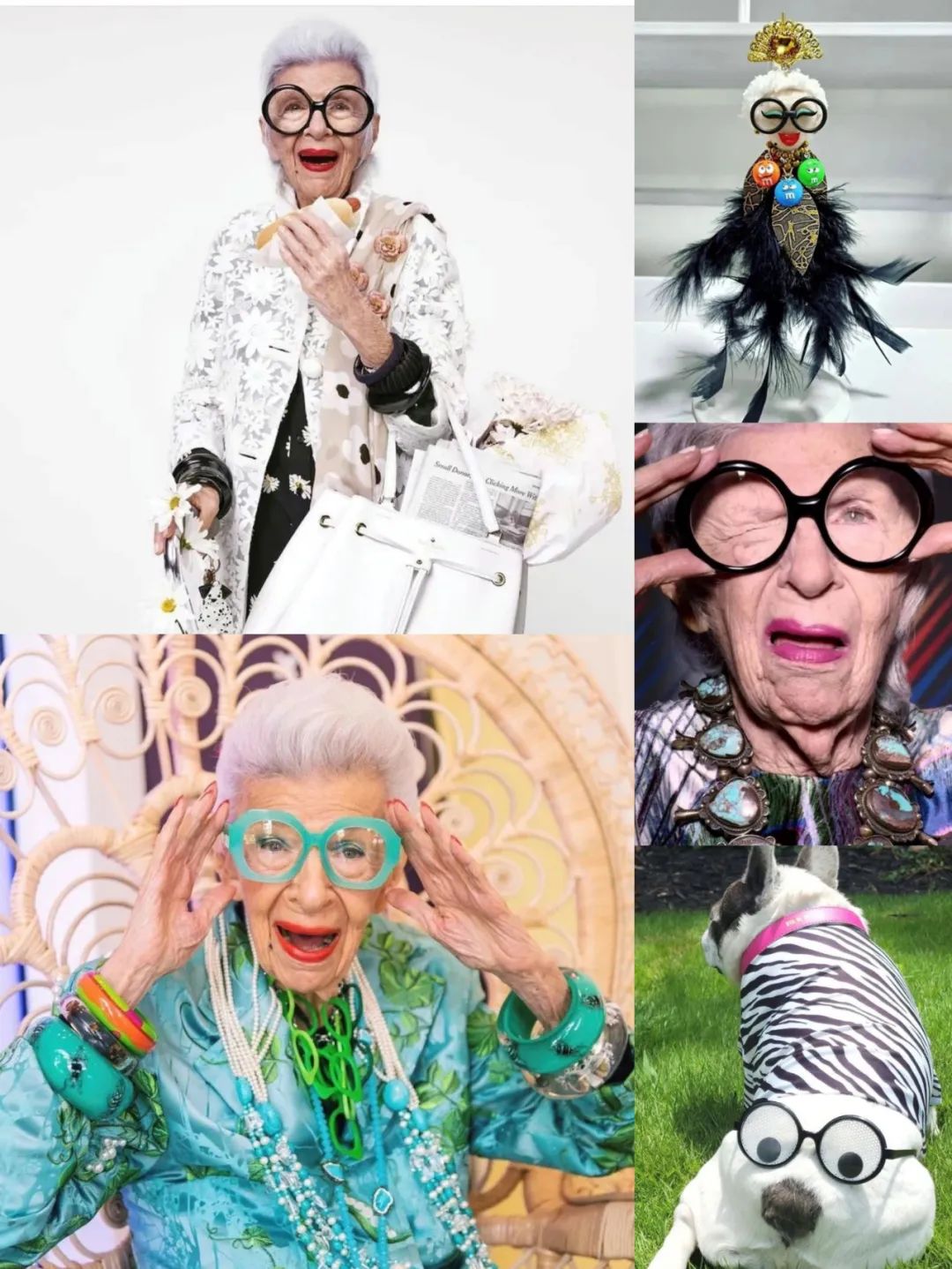 王虹老师简历,王虹老师最新视频