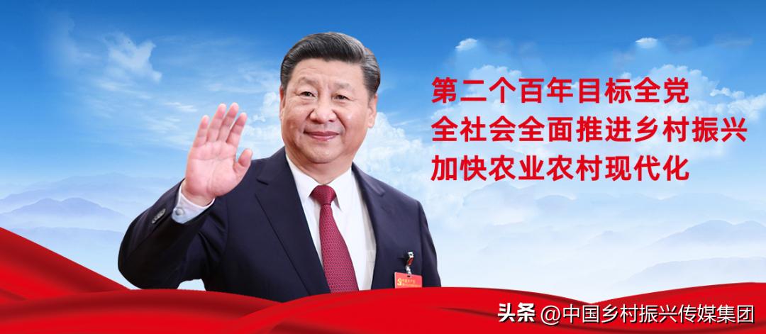 政府扶持乡村振兴的项目有哪些,2024乡村振兴政府补贴重点项目