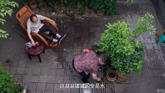 蚊子最怕的竟然不是蚊香,蚊子最怕的竟不是蚊香