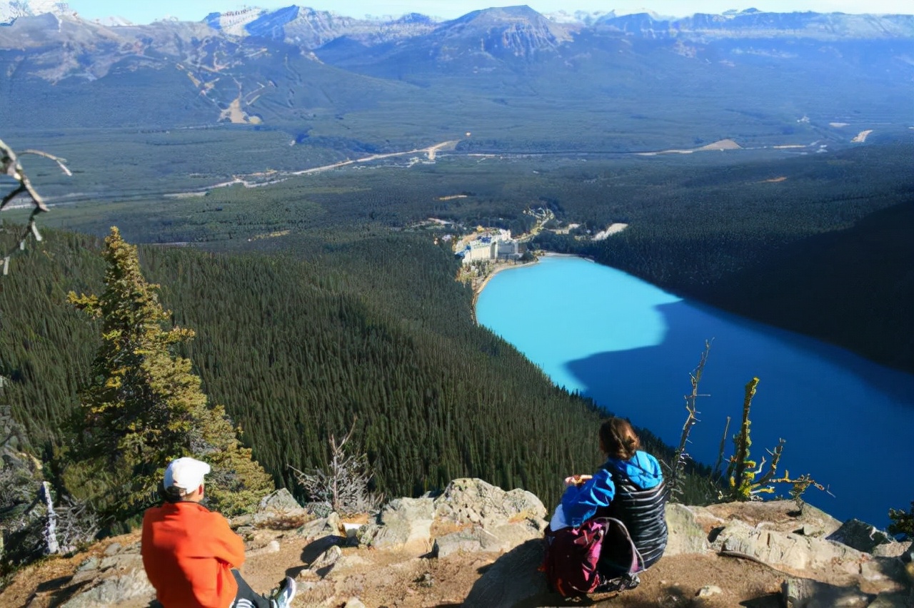 第一个用无人机拍到的鲸鱼,鲸鱼萤火虫