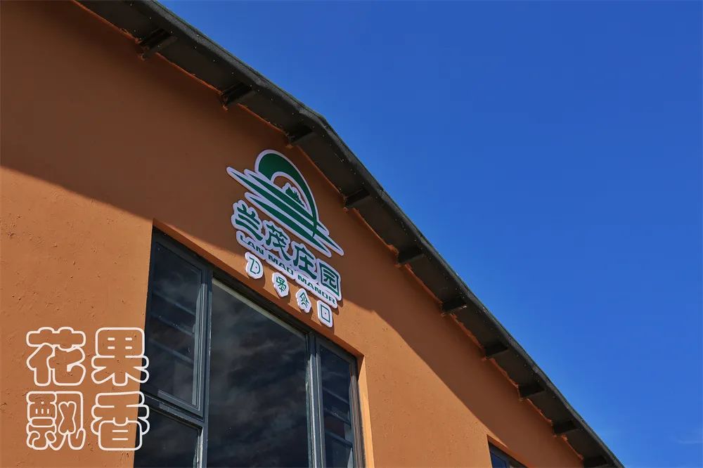 目前富士苹果最好的是哪一种,和富士苹果相似的苹果品种