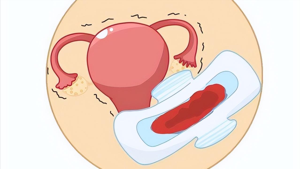 排卵期同房，怀孕概率会增加？备孕的注意事项，你都了解清楚了吗