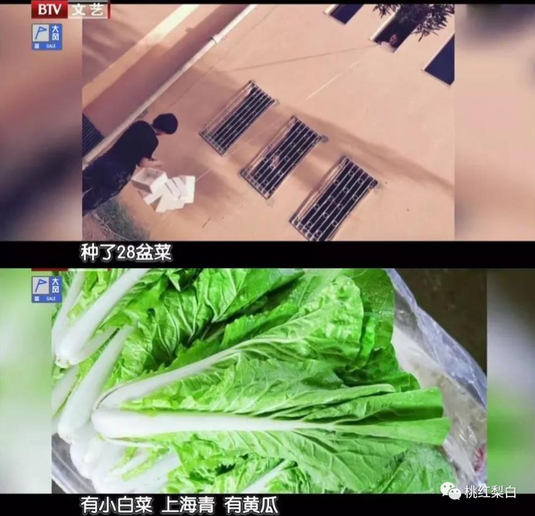 张译的演技特点和流派,圈内人如何评价张译的演技