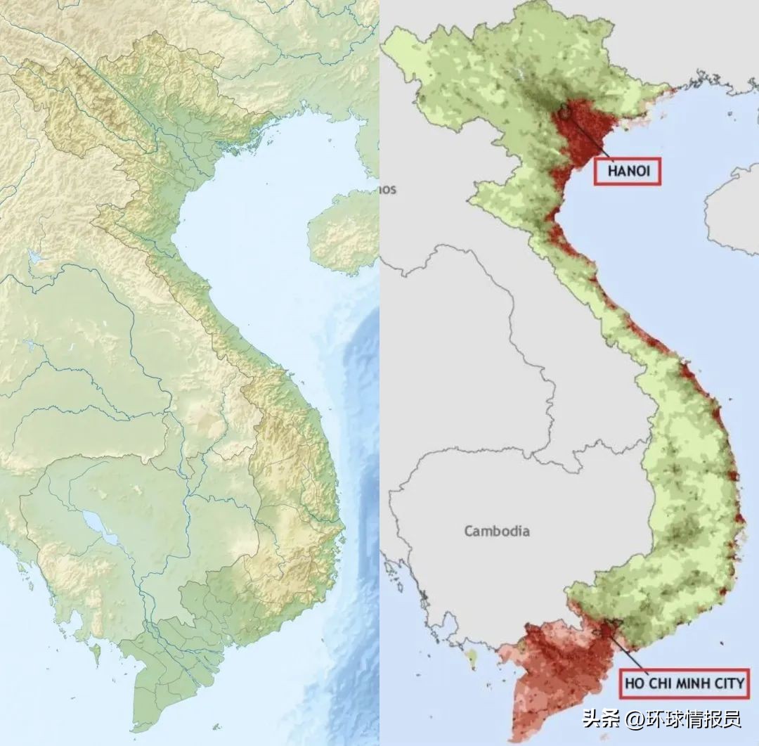 猫为什么没有入选十二生肖,越南为什么把兔年叫猫年