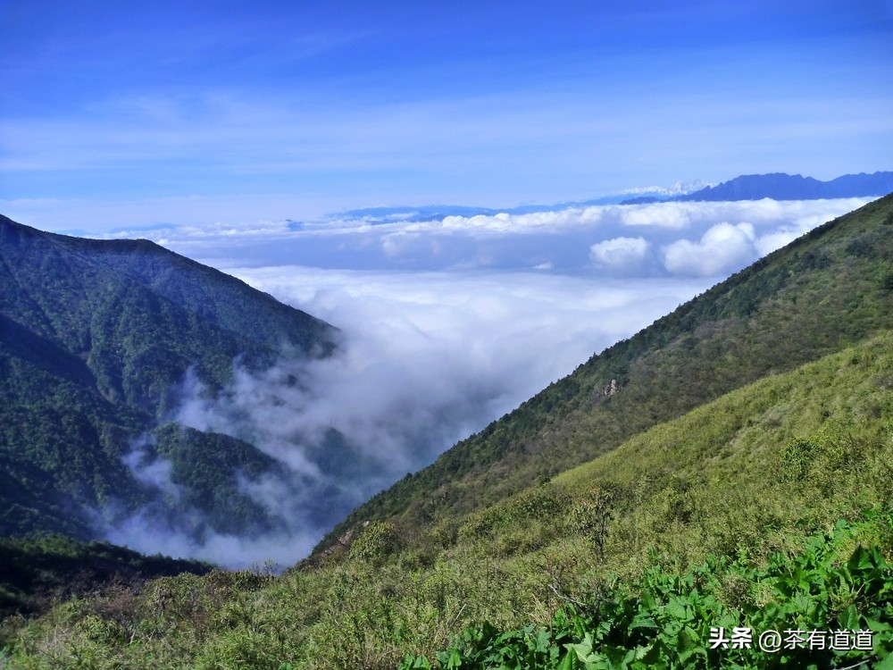 川藏南线茶马古道,四川荥经茶马古道路线图