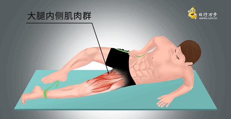 人老腿先老的锻炼方法动画,人老先老腿最全练腿攻略来了