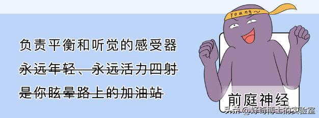 为什么坐车睡觉还是很累,为什么长时间坐车很容易伤腰