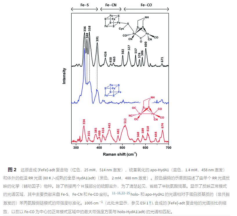 振动光谱,振动光谱的组成方法