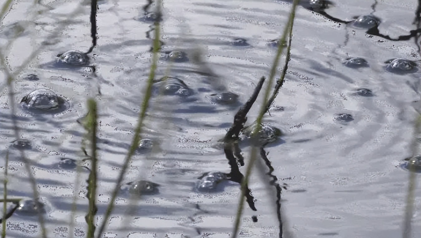 河北暴雨地下冒泡原因,河北地下水冒泡到底什么原因