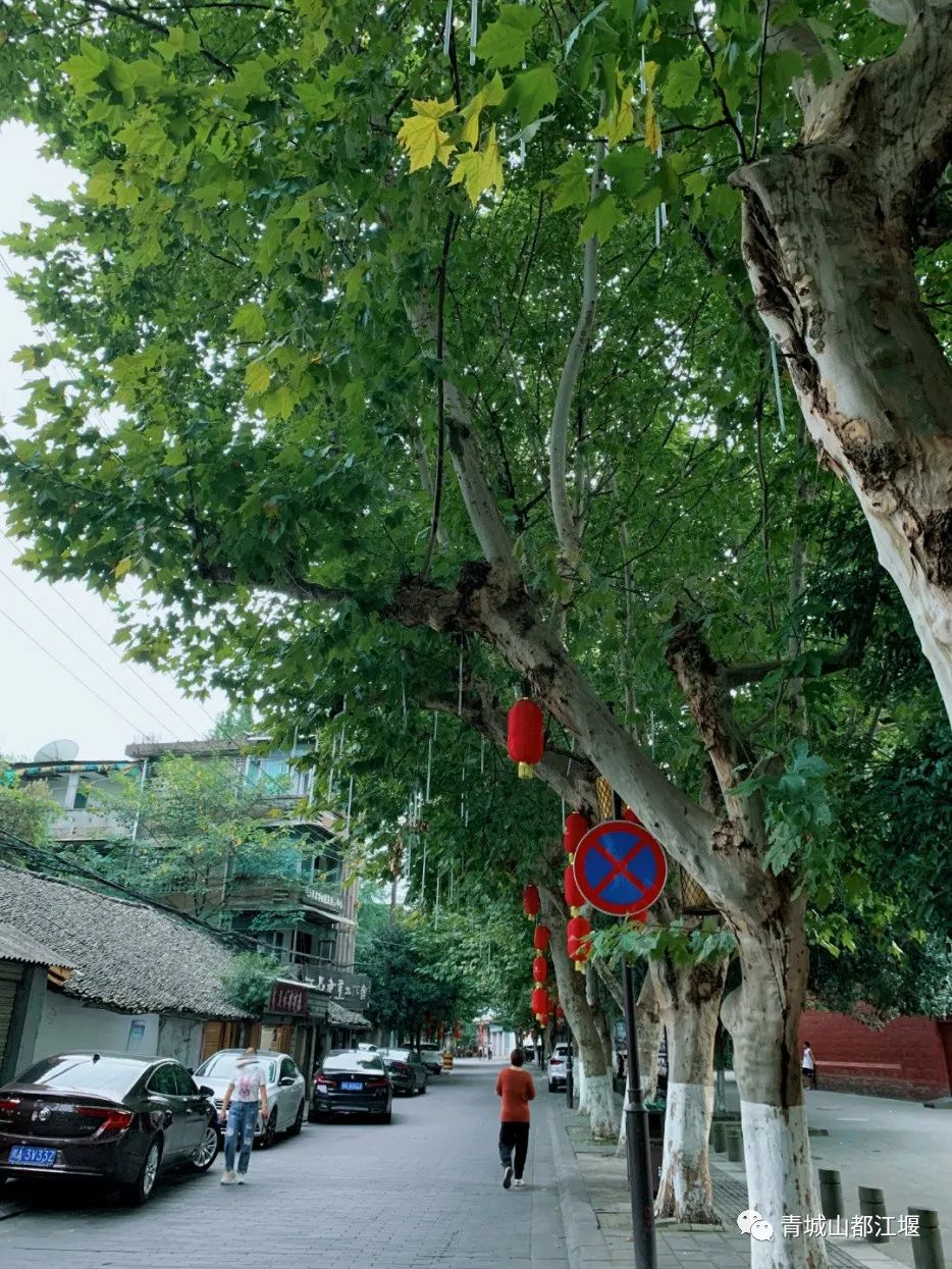 初秋城市漫游指南！都江堰8大爆款夜游地全在这里，吹河风尝美食get暴走两万步的畅快~