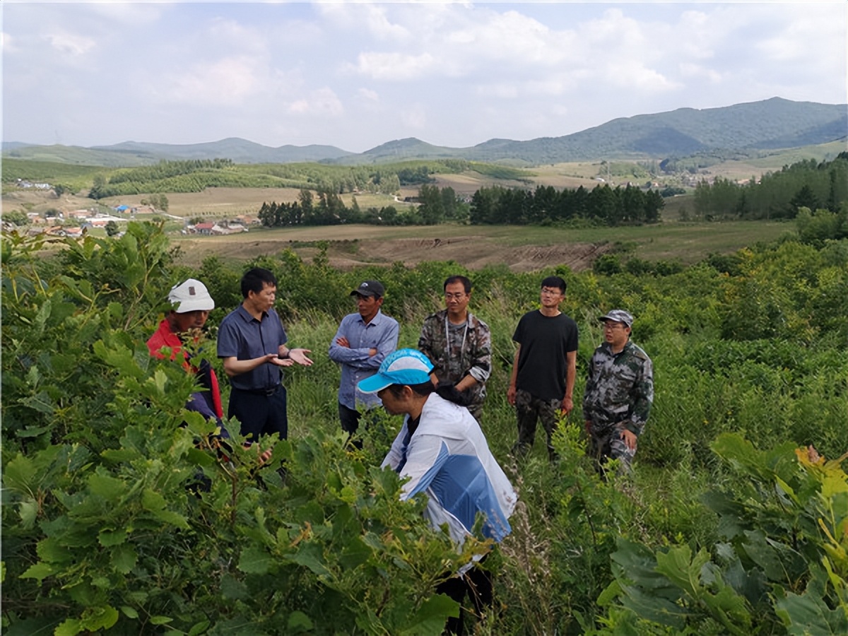 特色产业“生金”，增收致富“有道”