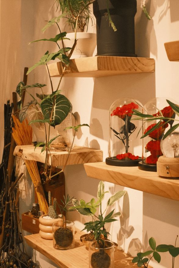 佛山70后老板打造300平书店弧形落地窗美翻了