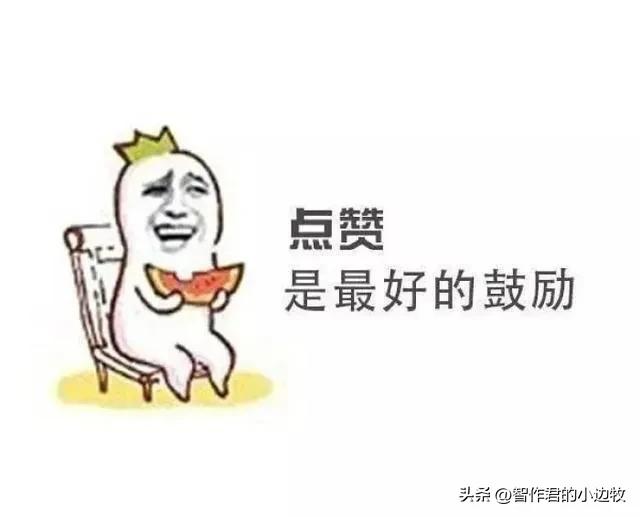 pdf转换word文档免费,word文档如何转成pdf文件