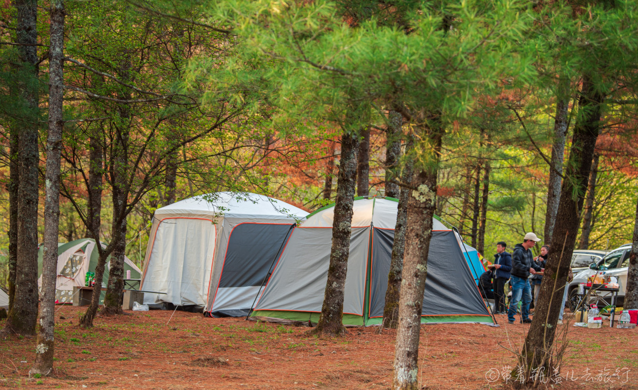 巫溪红叶自驾游,巫溪红池坝云中花海景点讲解