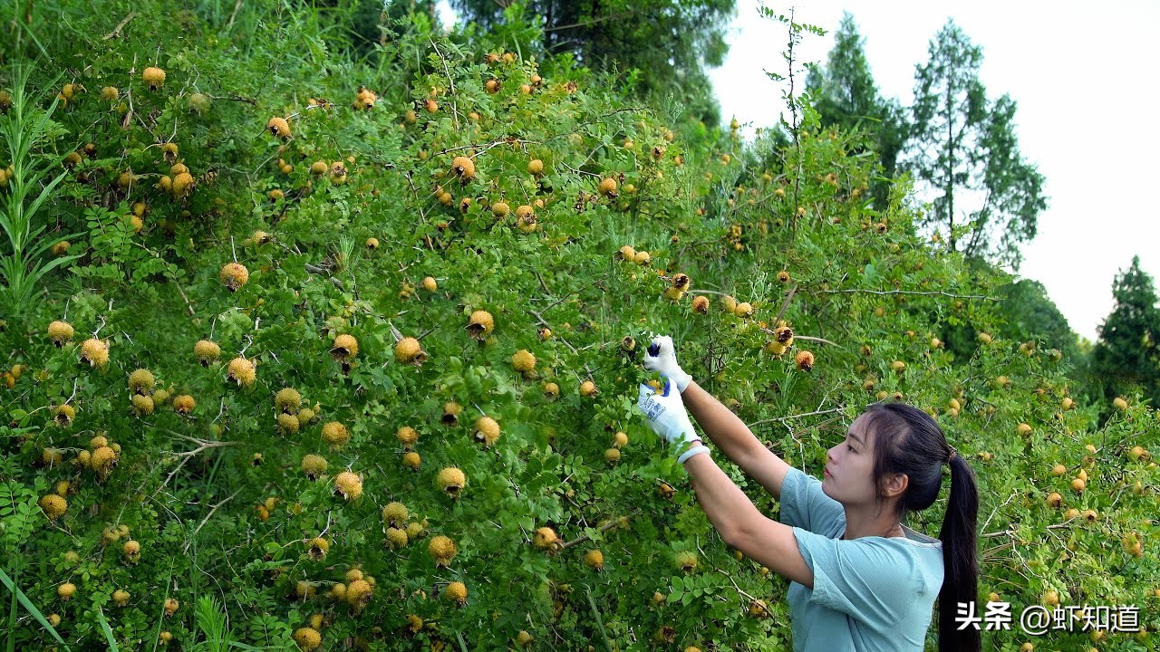 吃起来很甜但是含糖量不高的水果,吃起来不甜但超易发胖的水果