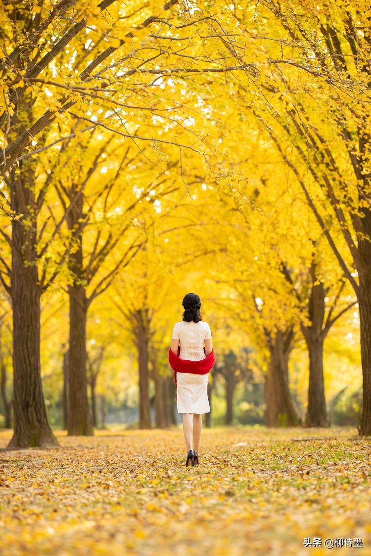 摆脱拍照尴尬六招万能拍照姿势,拍照不要用剪刀手姿势