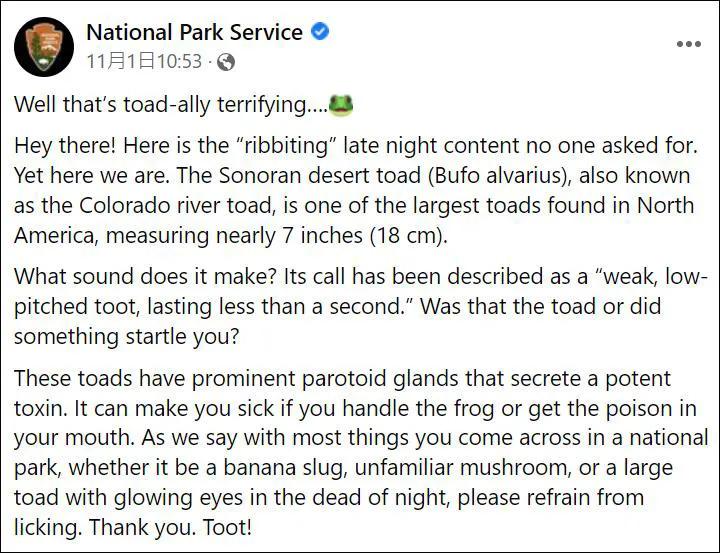 舔癞蛤蟆上瘾,美国舔蟾蜍