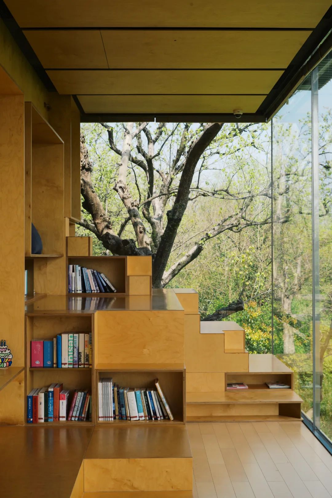 春天的潺潺溪水,春天的顶流