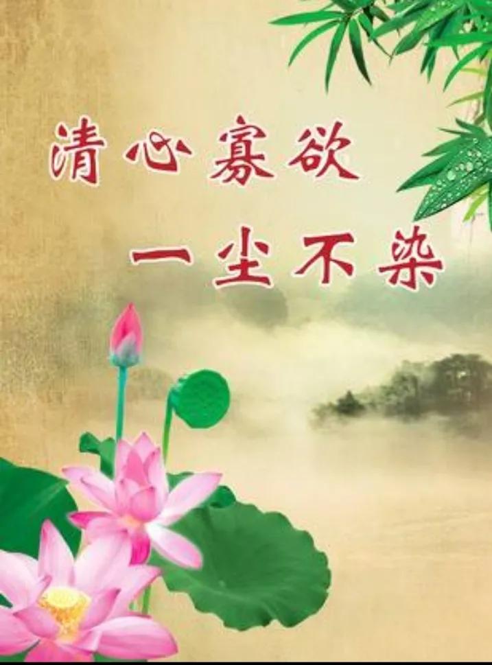 俗语“有福之人有三寡，越寡越幸福”，这里的三寡说的是什么？
