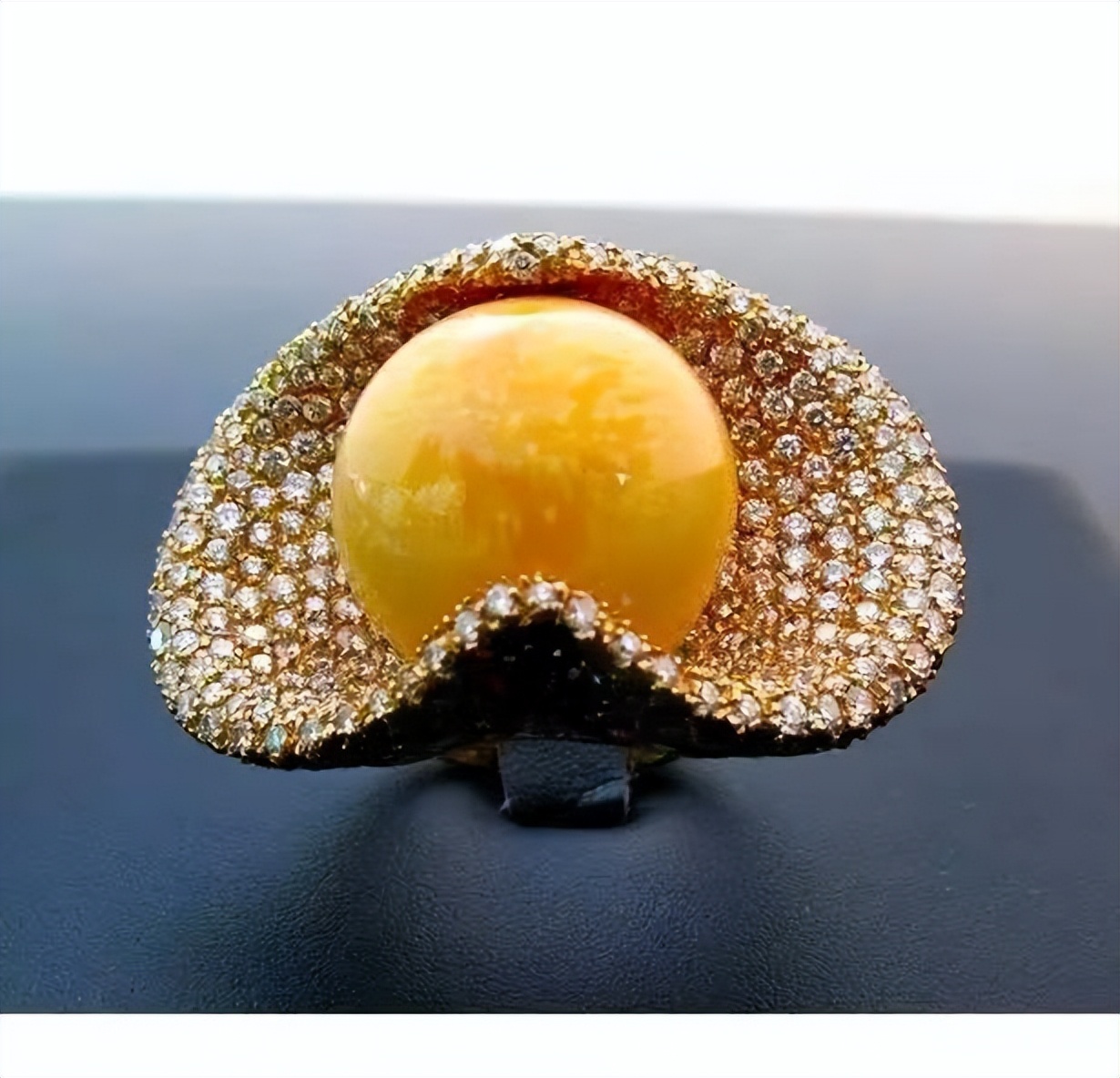 安徽女子吃到天价海螺珠,女子85元买椰子螺开出美乐珠