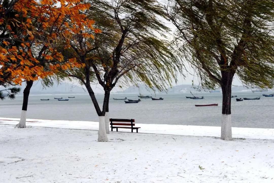 冬日静好什么意思,冬日静好莫负韶华朗读