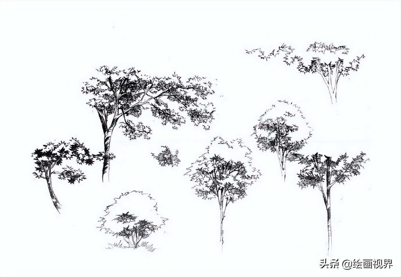 零基础不会画画怎么学当插画师,零基础画不好色彩