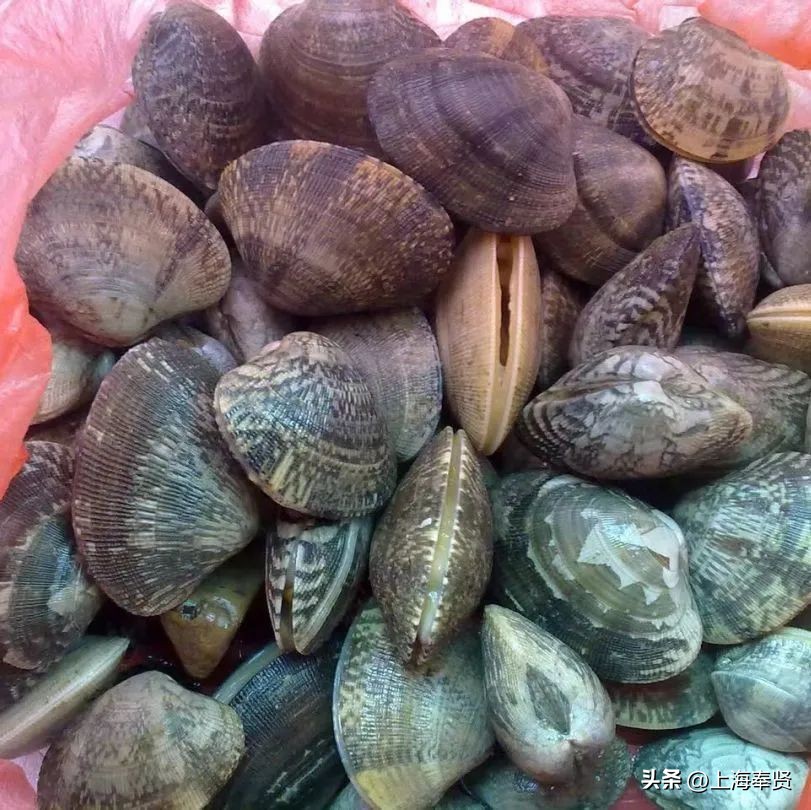 孕妈妈食疗全指南,孕期适合吃哪些水产海鲜类