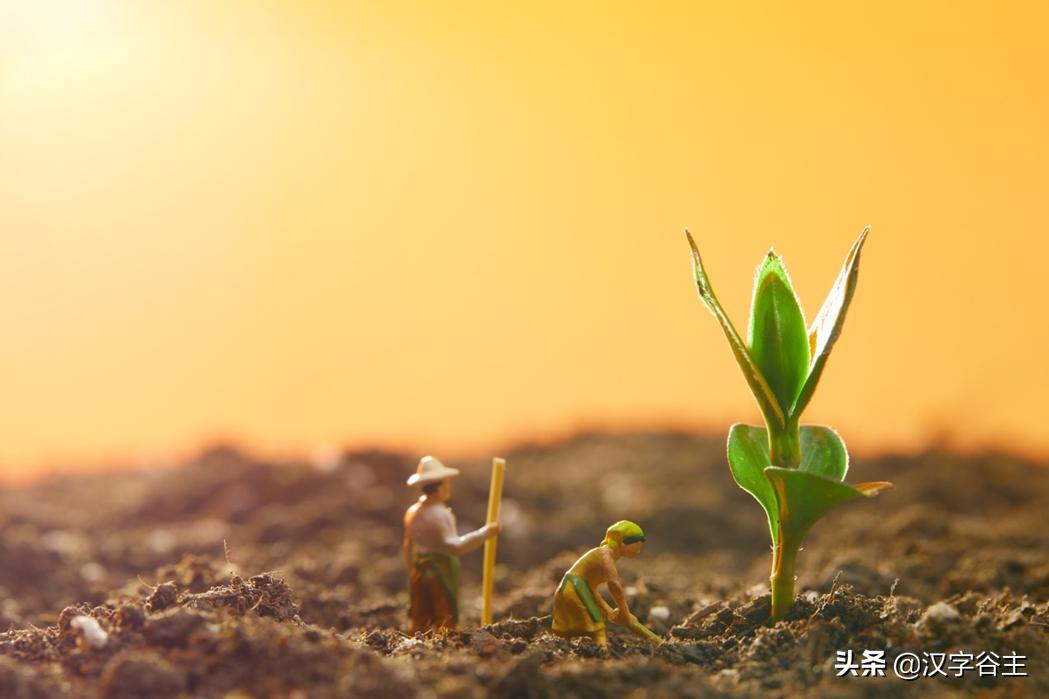 惊蛰惊动了哪些虫子,惊蛰惊虫