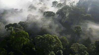 避暑游必去的地方,避暑推荐旅游攻略